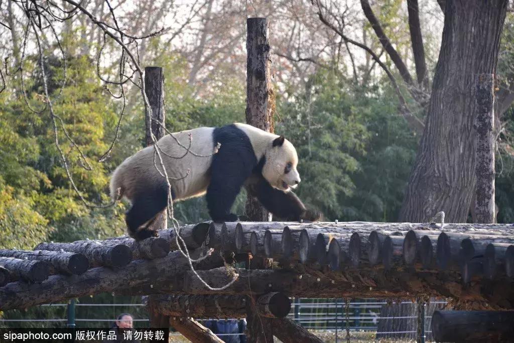 北京最值得旅游的一条路,北京最值得去的300个地方