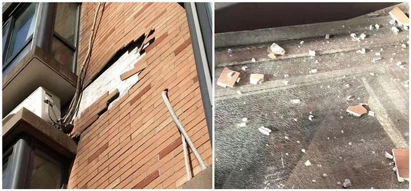 殴打业主处理结果,殴打业主