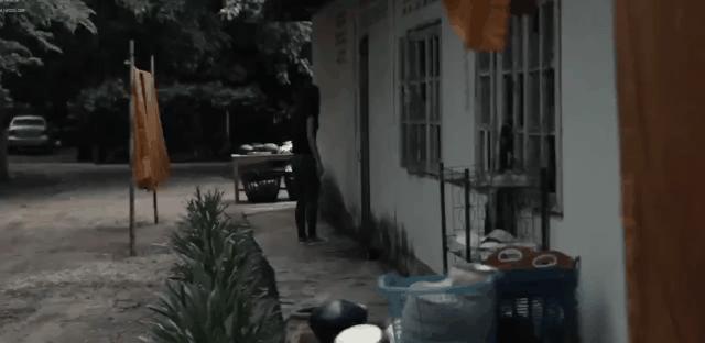 吓到字幕组都不敢翻译的片子，到底什么来头？