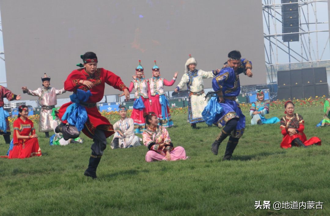 阿古拉湿地草原视频,阿古拉湿地有什么鸟