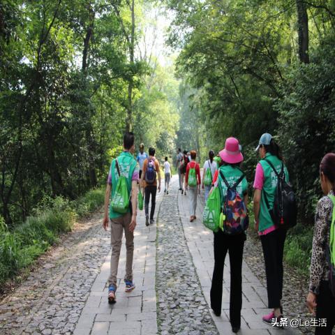 绿a螺旋藻,绿a天然螺旋藻的功效和作用