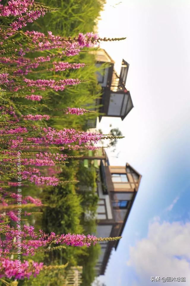 泾河新城是哪里,泾河新城的好处