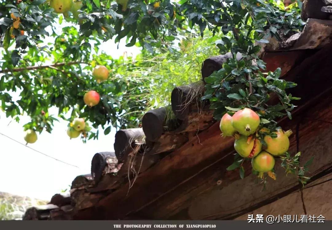 北京人真实生活视频,北京人二环的真实生活