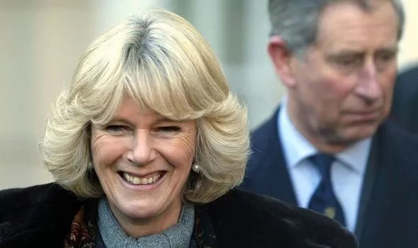 爱不爱看婚戒，戴妃的蓝宝戒指不算啥，卡米拉的婚戒才是无价之宝