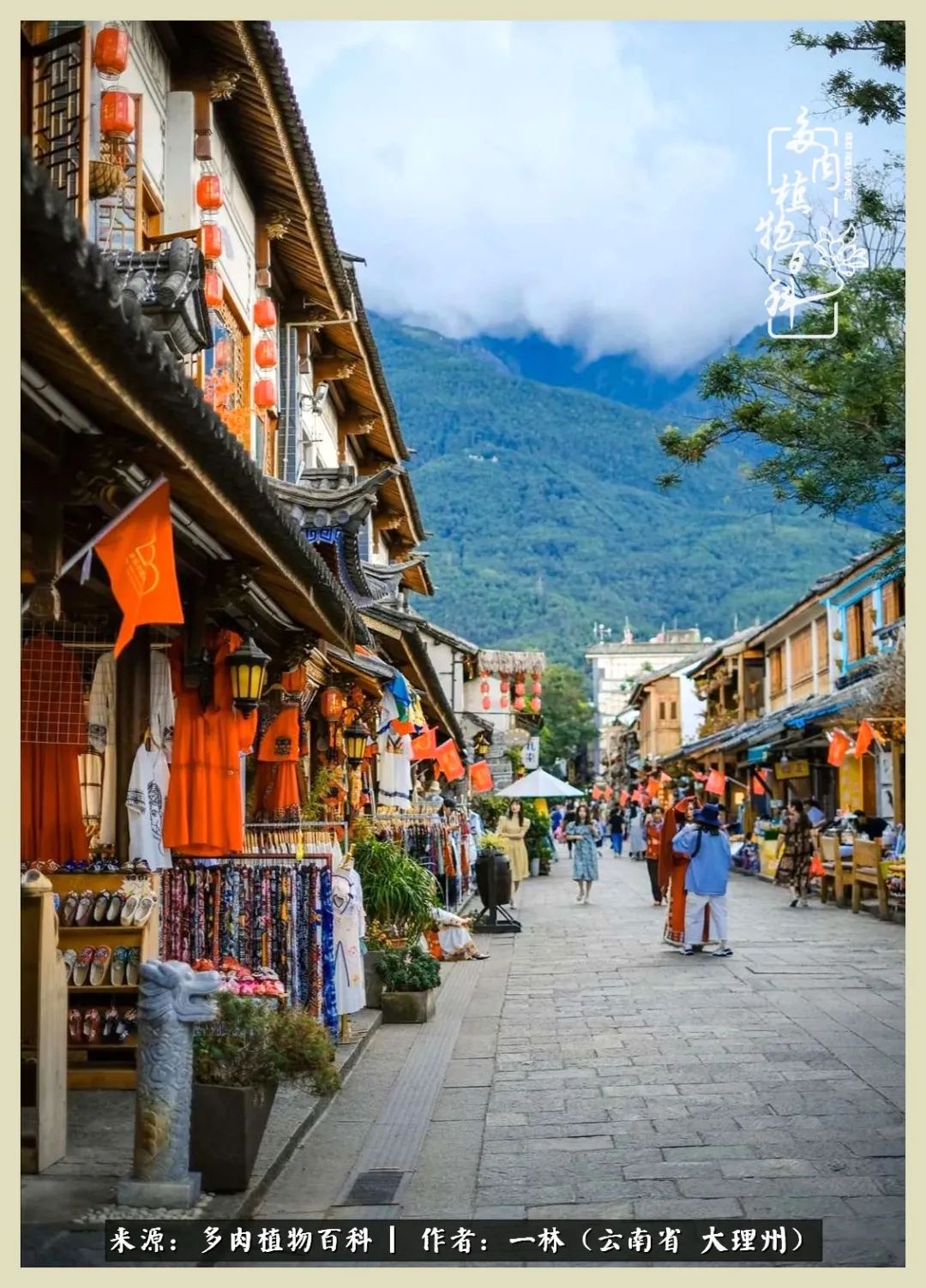 星光不问赶路人文案,时光不负有心人星光不负赶路人