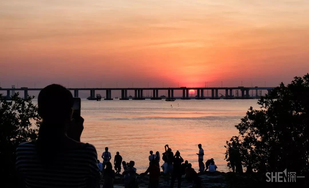 深圳11号线哪一站下车可以看海,坐深圳11号线去看海的地方