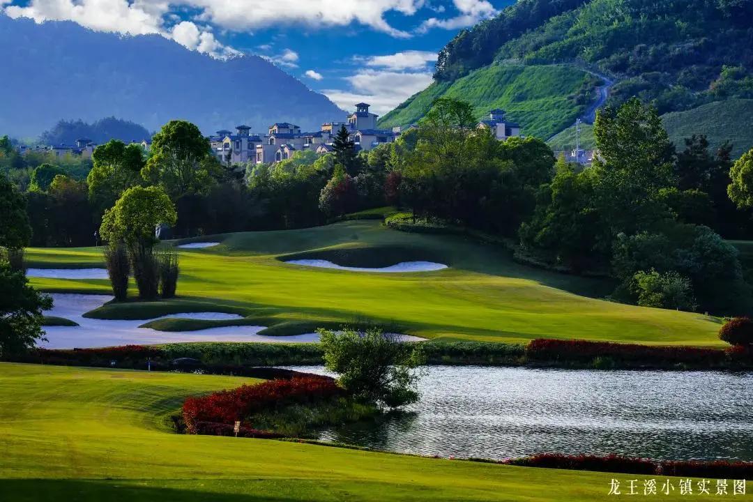 绿城龙王溪一期什么价格,绿城龙王溪小镇特价房源最新热评