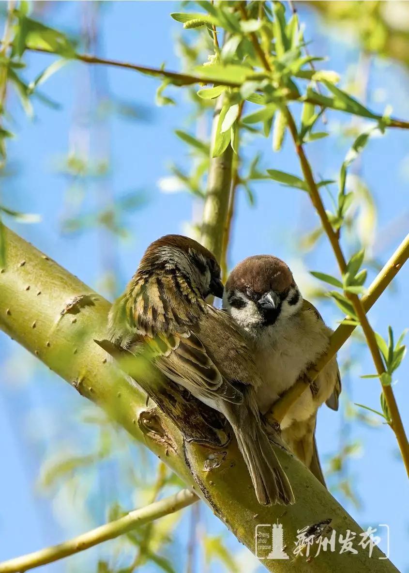 开封文化公园游玩攻略,开封森林公园有几处景点