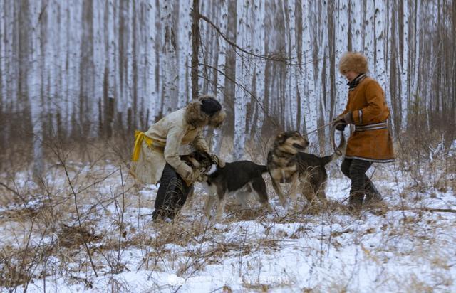 鄂伦春猎犬中国北方的守山犬,猎犬鄂伦春