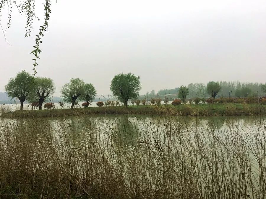 河南大美云台山特产,河南焦作大美云台