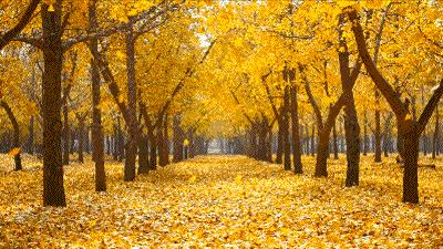 去北京不可错过的地方,不去热门景点游北京