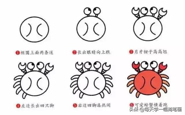 儿童海底动物简笔画大全简单,从海面到海底的简笔画