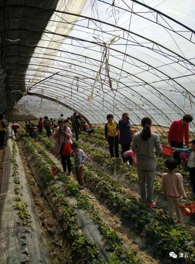 清明小长假值得去哪里,哪个地区的清明需要提前去