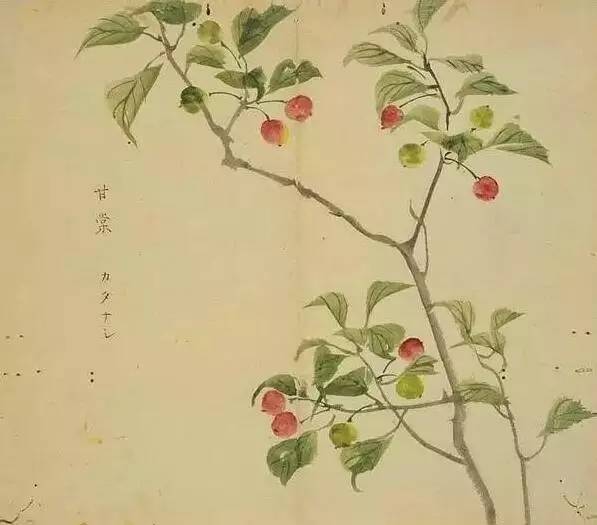 惊艳千年的古诗词合集,五千年来最美的20首诗