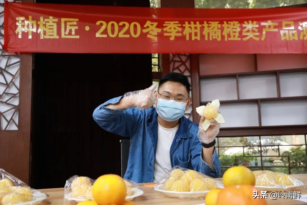 柑橘能吃出菠萝味？带你体验种植匠2020冬季柑橘橙测评