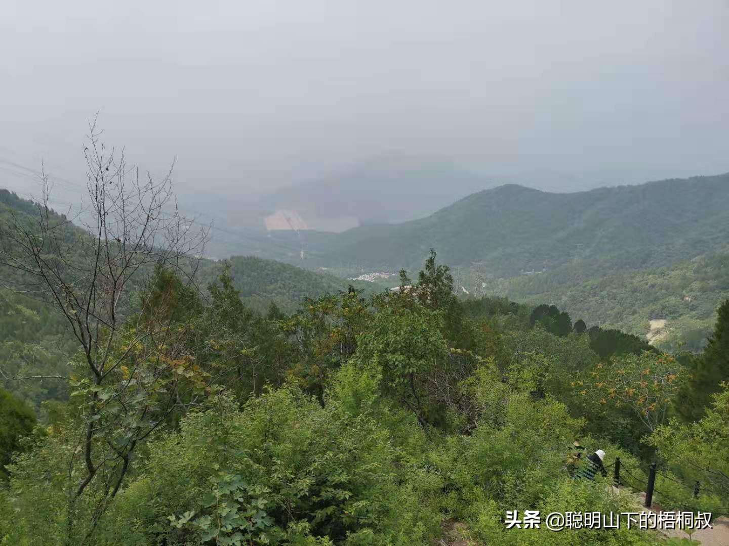 蟒山国家森林公园自由行攻略,北京蟒山森林公园游玩攻略