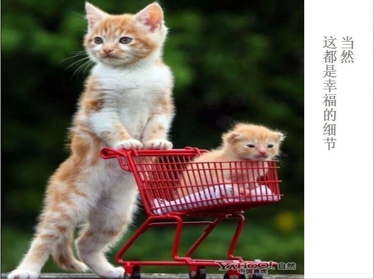 我只想说声爱你,只想再爱你一次