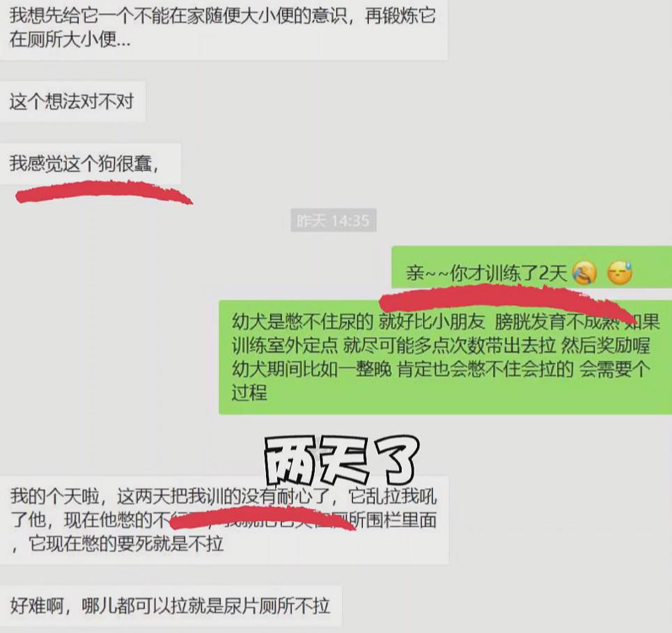 狗狗定点大小便训练进厕所不排便,狗在窝里排便是为什么