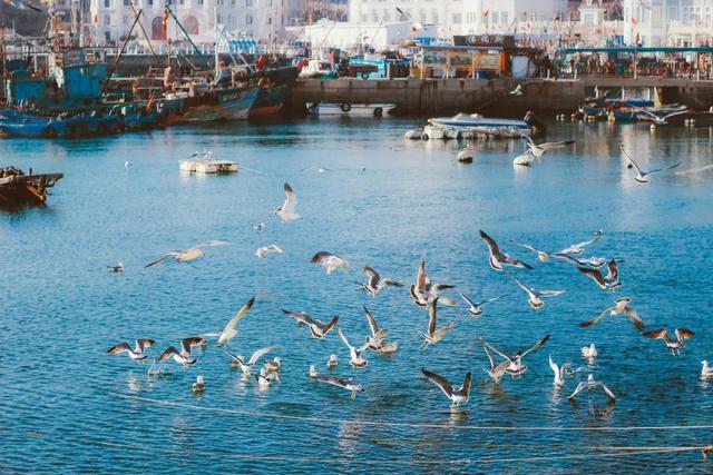 突然就想去旅游了,忽然间就想去厦门了