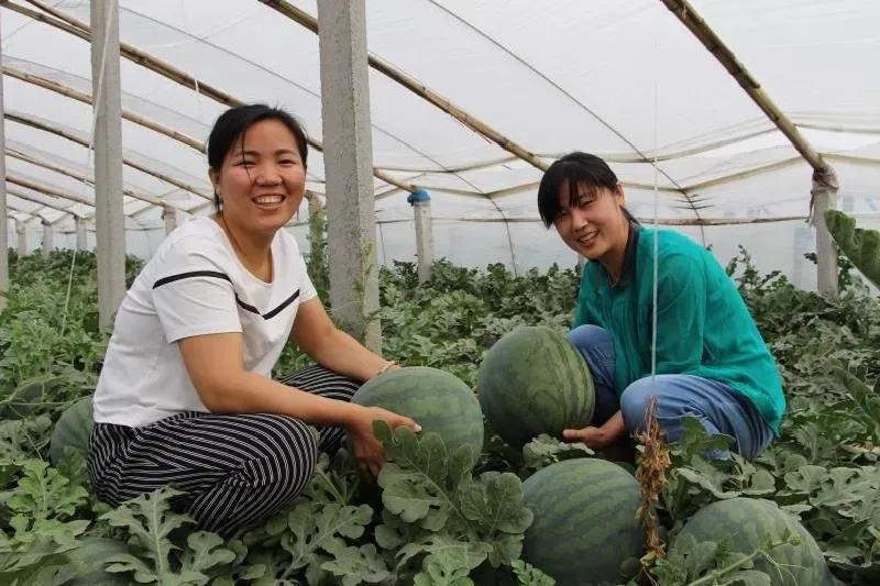 一村一品亿元村,一村一品打造乡村产业