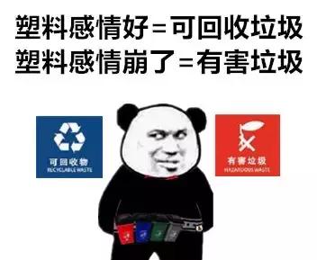 怀孕了还是想养猫猫狗狗怎么办？华西专家：可以养，但绝不能随便养！