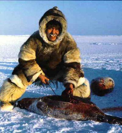 爱斯基摩人吃生肉不怕寄生虫吗,人类为什么会做饭