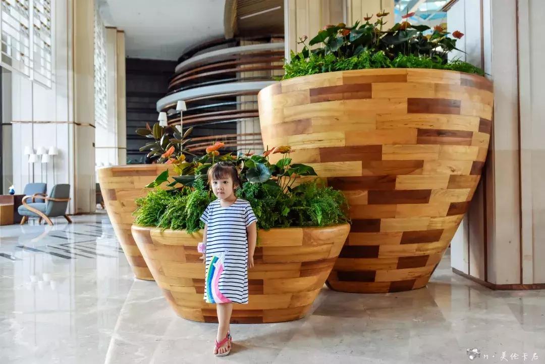 离尘不离城尚峰一号,离尘不离城丽水