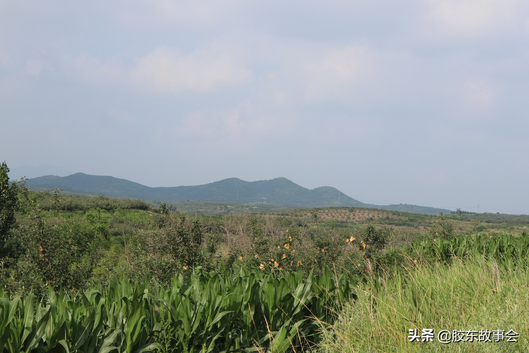 回忆年味回家路,山东年味记忆中的年集