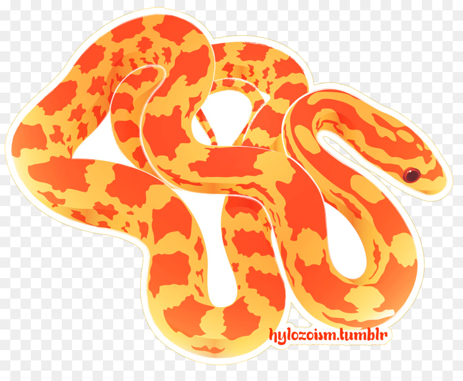 菲律宾喷毒眼镜蛇被咬,菲律宾毒蛇专家