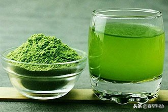 大麦若叶青汁真的排毒吗,大麦青汁有哪些人不适合喝