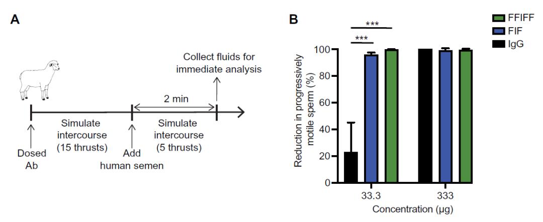 避孕药正确使用方法能百分百避孕,避孕药误区并不靠谱的避孕方法