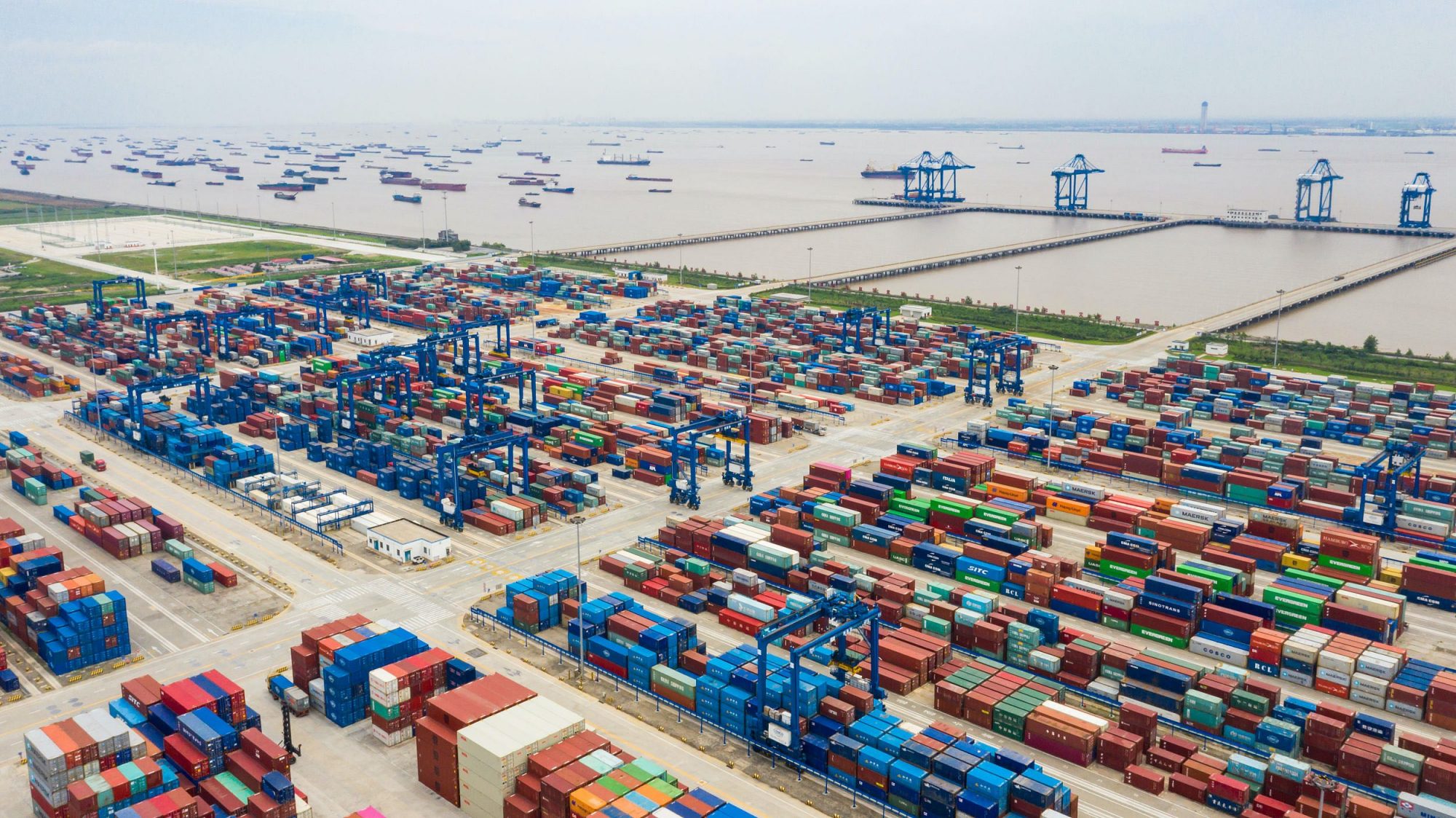 原本在我国泛滥成灾的水葫芦,曾经泛滥的水葫芦现在怎么样