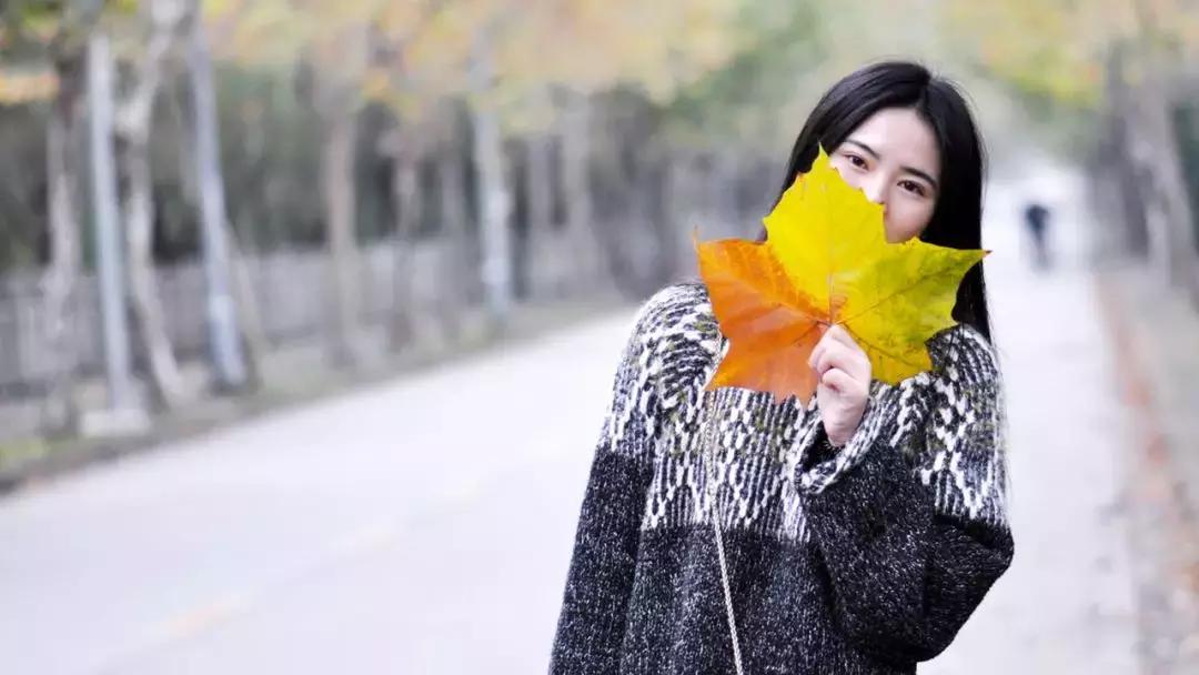 ppt高级感排版模板,ppt排版神器