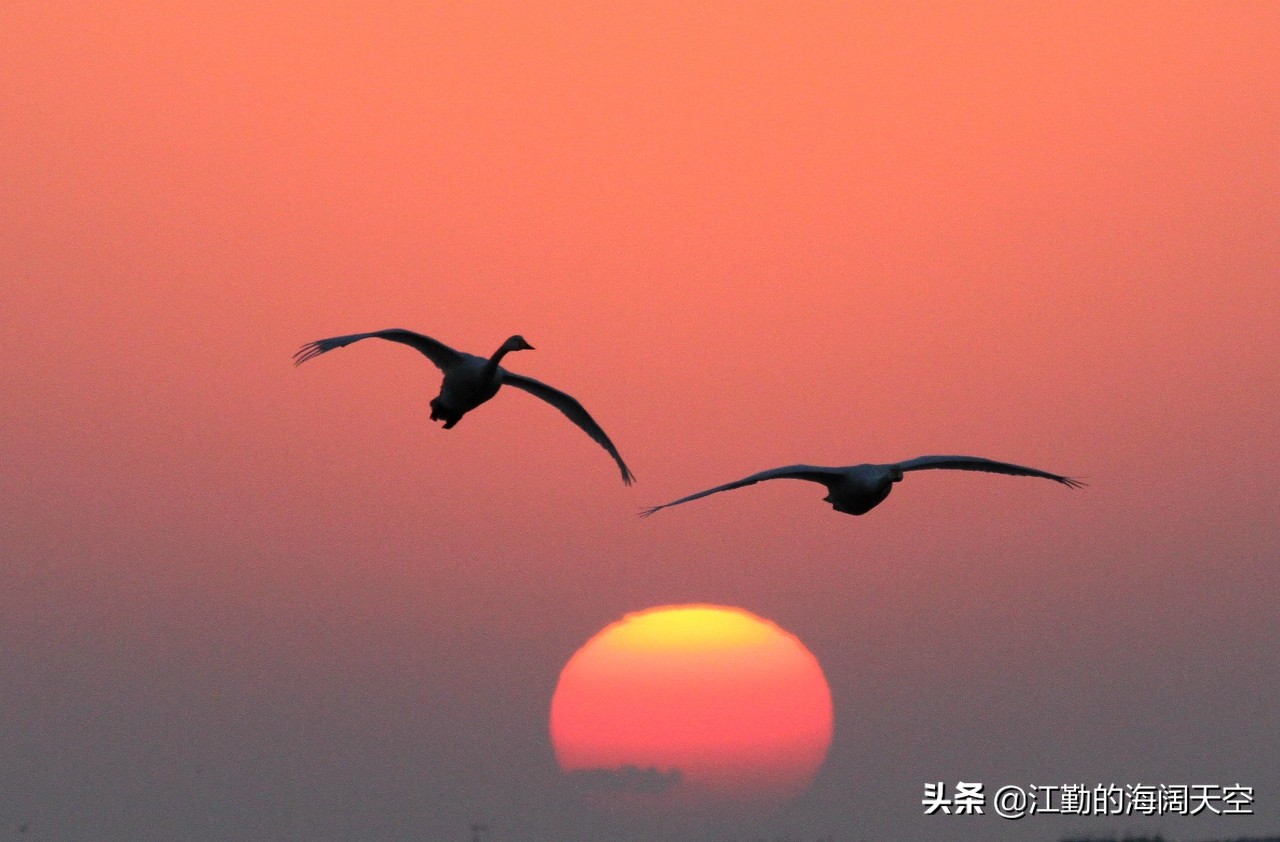 如何让自己静下来学习,如何让自己静下来绘画