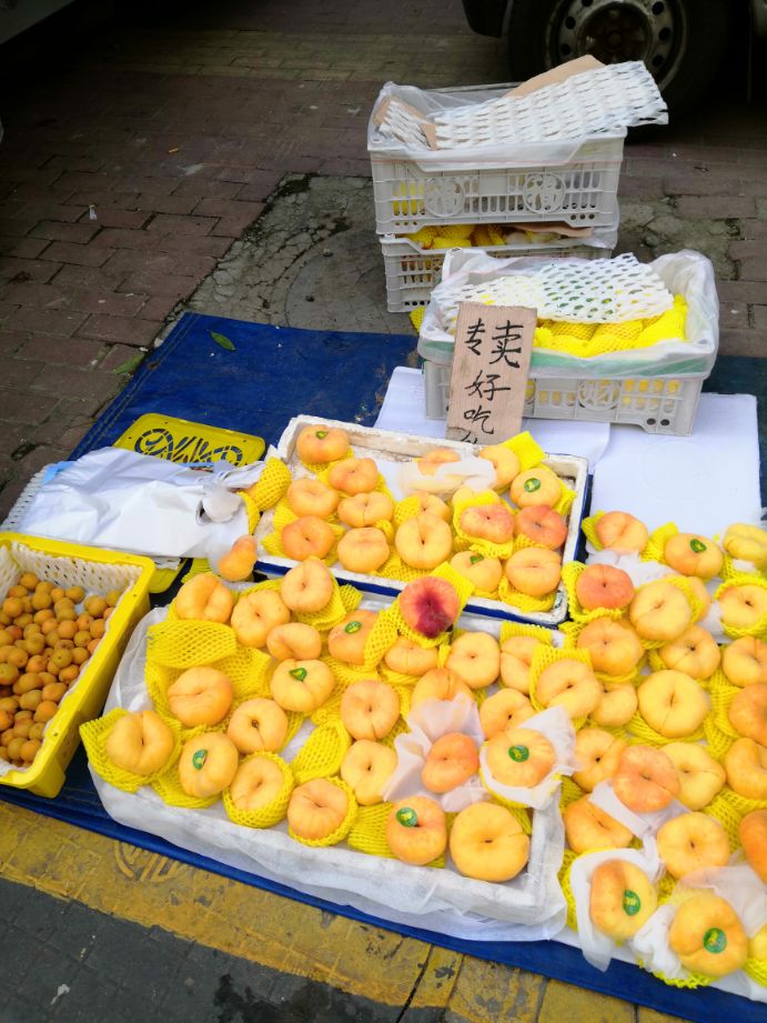 哈尔滨头条达人,哈尔滨头条新闻