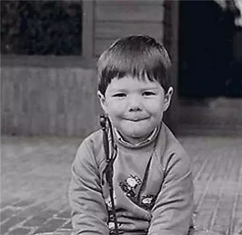 足坛巨星全部介绍,足坛巨星全员图