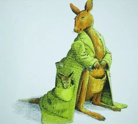 绘本推荐|《动物绝对不应该穿衣服》超级搞笑又有创意的绘本