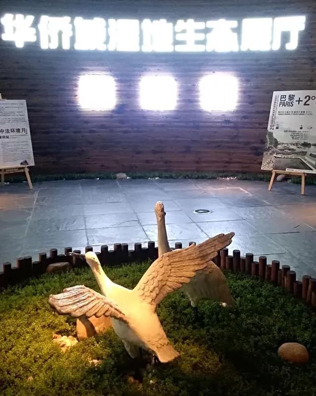 深圳免费公园哪里最好啊,深圳十大免费公园景点大全