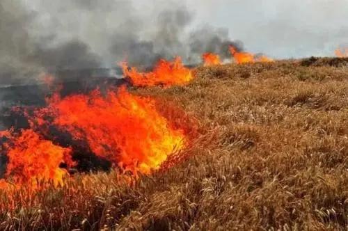 关于安全文明的快板,安全文明快板推荐