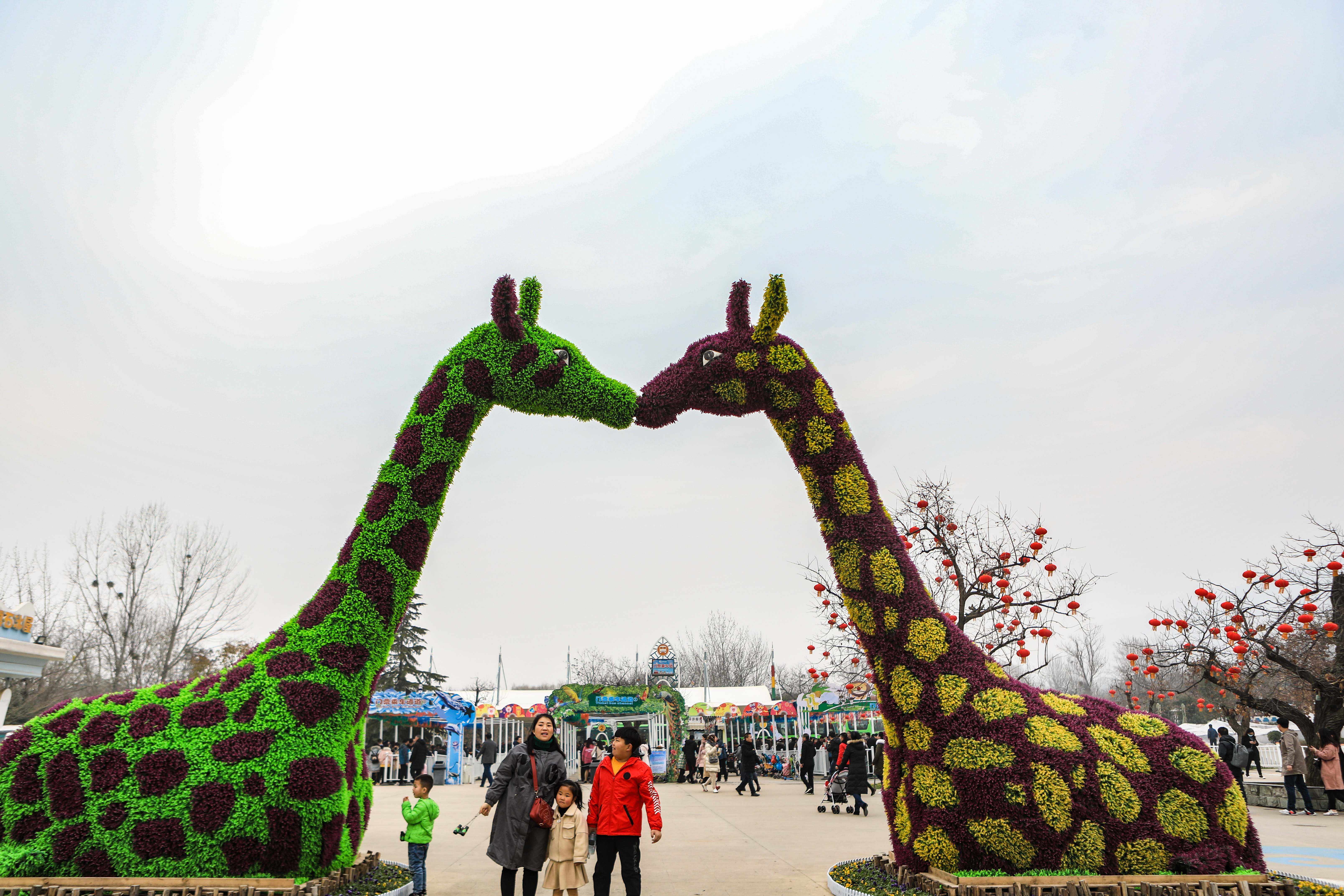 这是西北首个野生动物园，实测喂老虎是一种怎样感受！刺激