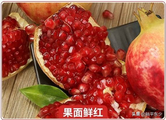 突尼斯软籽石榴苗真假辨别图片,突尼斯软籽石榴正宗苗