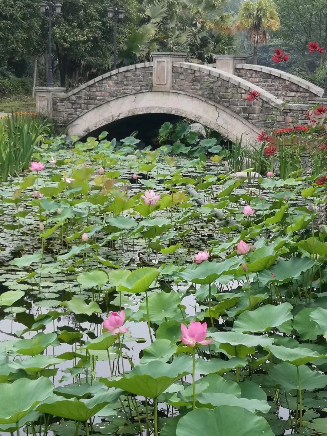 红光，一座荣光与梦想并存的小城