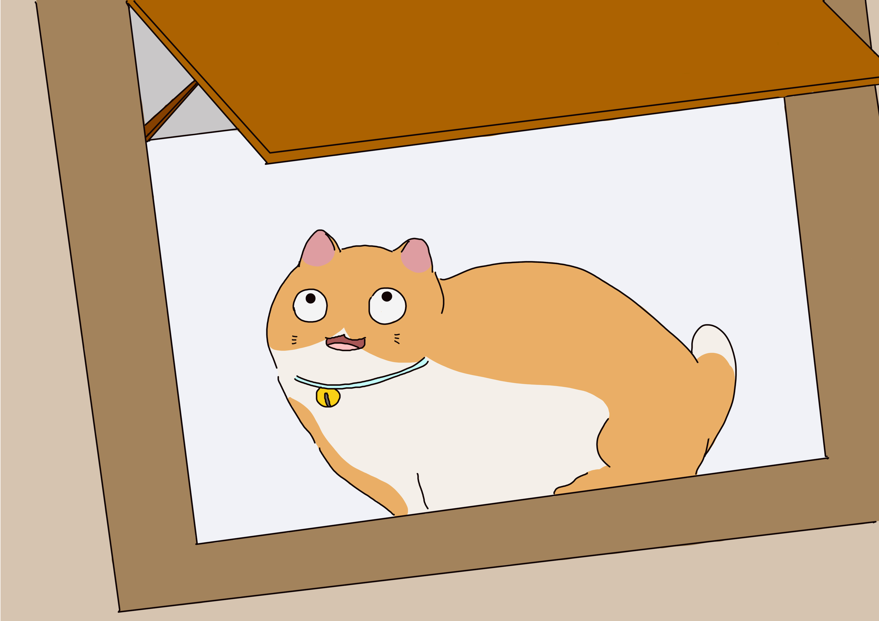 猫长时间关在笼子里怎么适应,猫咪长期不在家怎么照顾自己的猫