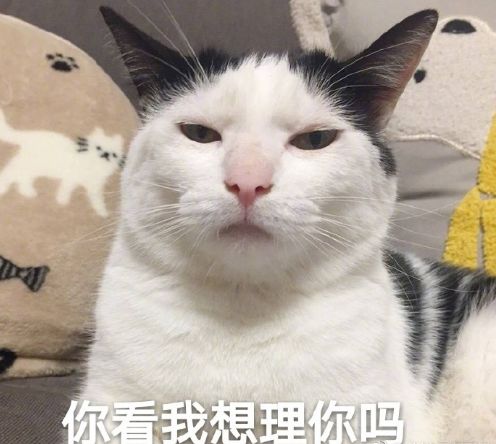 养猫拉稀有需要消毒吗,养猫怎么解决猫咪拉屎