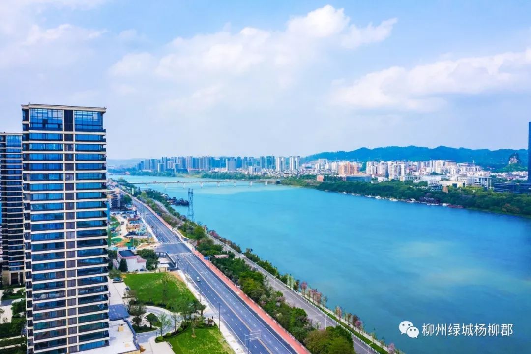 江景区之上的“新王炸”！2019下半场绿城将带来什么“超级物种”？