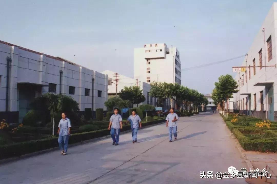 【金乡“三金”之三】:敢与德国西门子叫板的金曼克电气