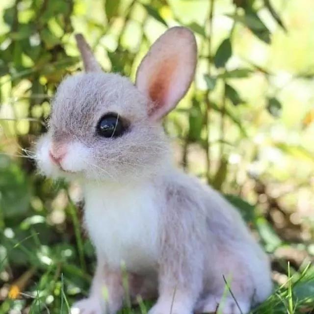 适合发说说的句子搞笑简短一点,很皮又很逗比的说说短句