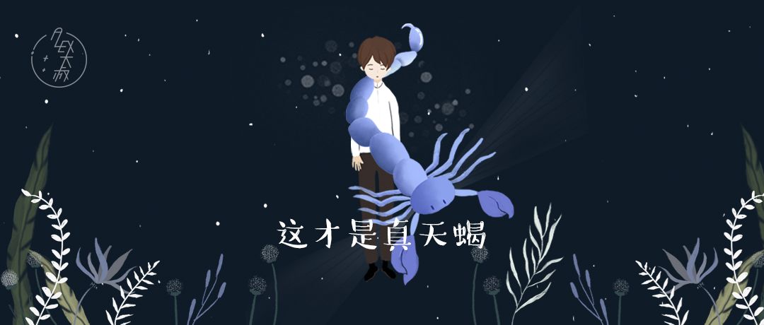 这才是天蝎座真实的模样了解一下,天蝎座星空科普