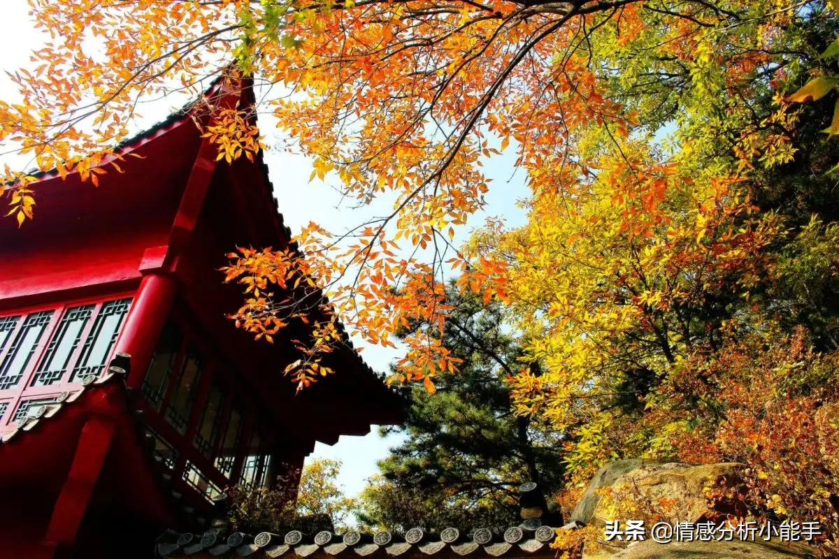 婚后老公和婆婆同住一张床,新婚之夜老公和婆婆聊天