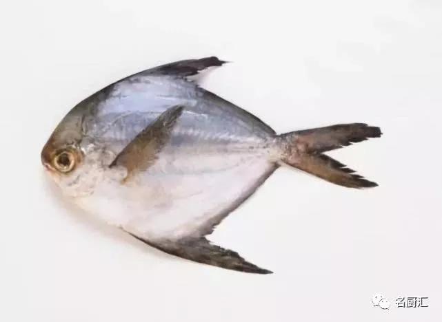 世界顶级十大海鲜,十大顶级海鲜价格排行榜